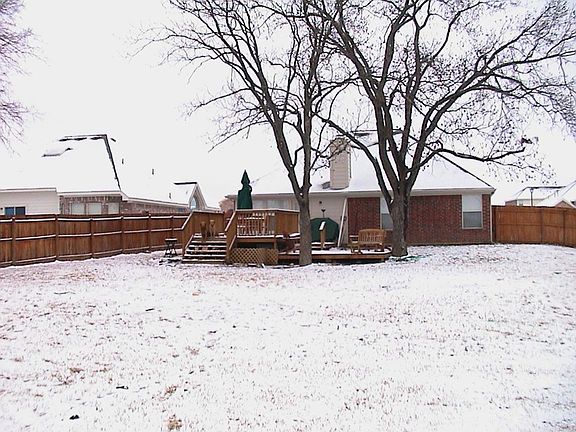 Back yard