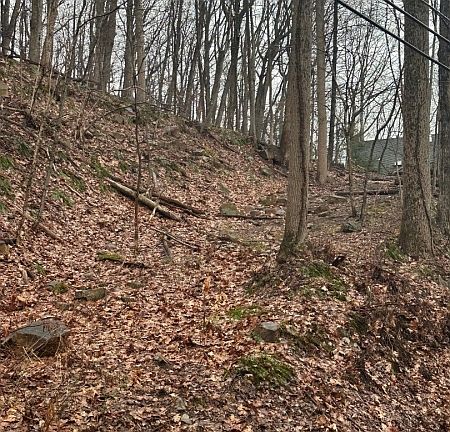 4th image of 120 Millbrook Road