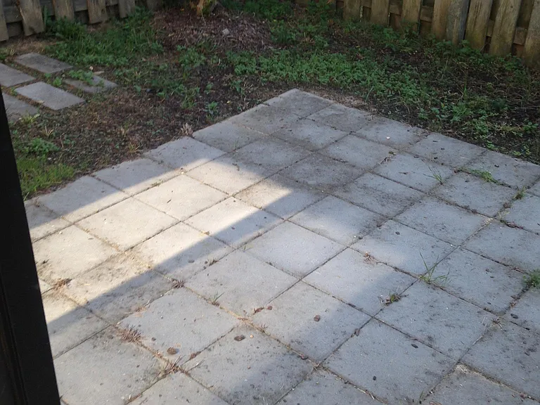Enclosed backyard / patio