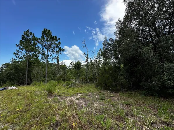 TBD NE 16TH LANE LOT 6, WILLISTON, FL 32696