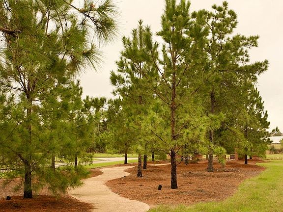 5th image of 27 Kendrick Pines Blvd