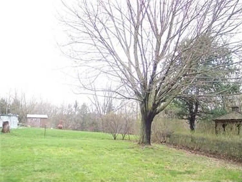 Thumbnail 20
