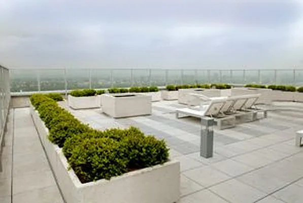 Rented by Douglas Elliman | media 11