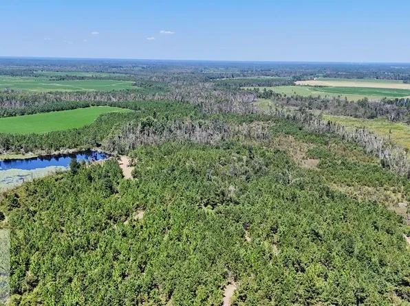 2 Rhonda Coleman Rd, Hazlehurst, GA 31539