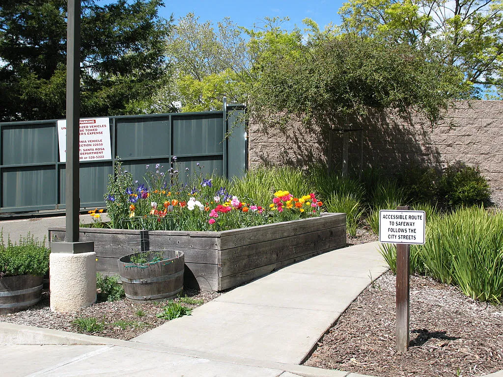 Vintage Zinfandel Senior Apartments | Affordable Apartments 55+ — Photo 4