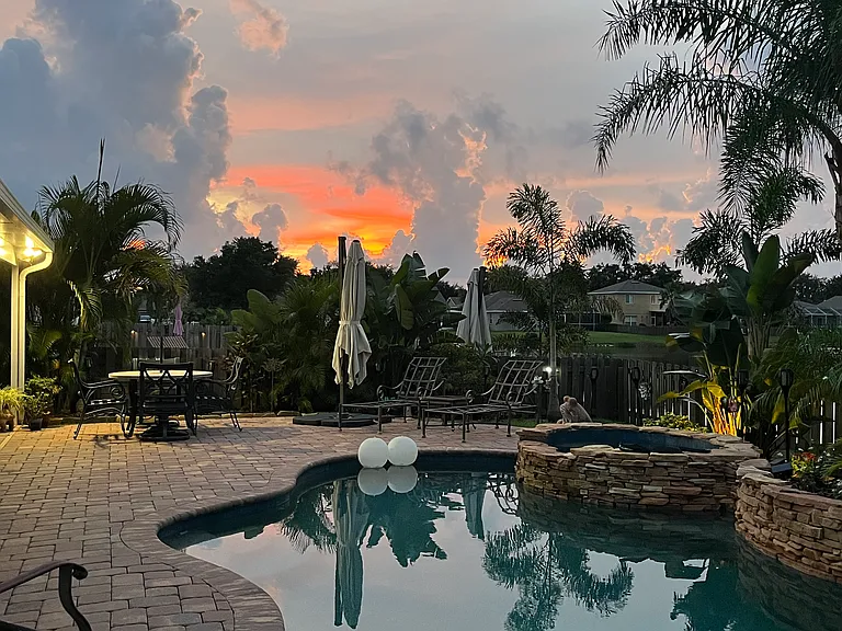 Backyard oasis