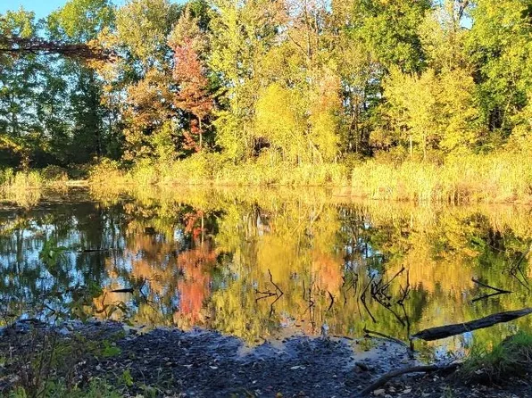 0 Rochester Rd, Dryden, MI 48428