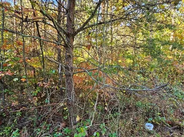 22 & 23 Brooklin St, Wilkesboro, NC 28697