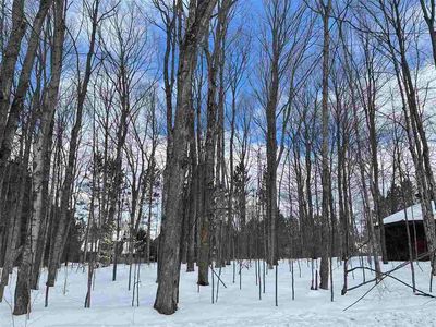 96 Stags Run, Harbor Springs, MI, 49740