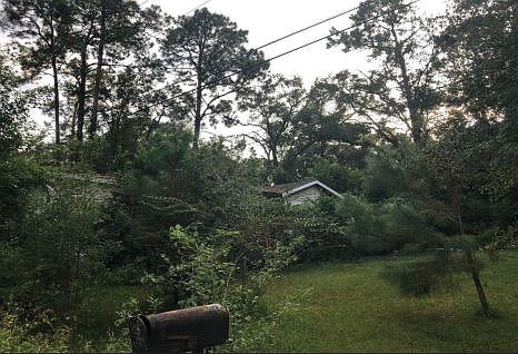 2nd image of 532 Rock Dr