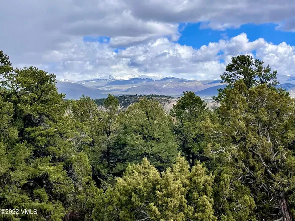 772 Mesa Dr, Eagle, CO 81631