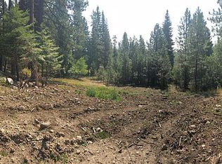 718 Spruce Ave, McCall, ID 83638