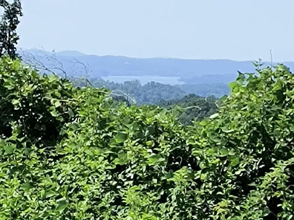 Ashe Cabin Hollow Rd, Harriman, TN 37748