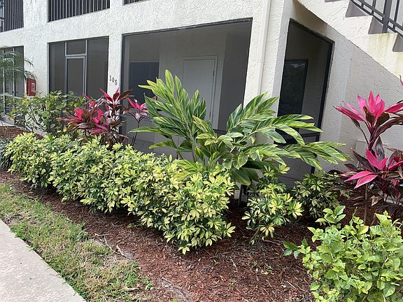 2nd image of 13115 Feather Sound Dr APT 105