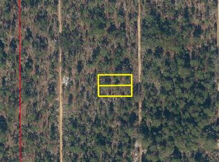 233 Maple Ln LOT 19, Interlachen, FL 32148