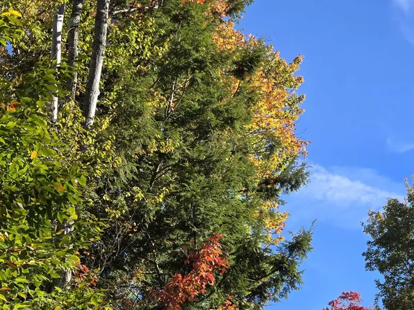 0 Klondike Road lot 2, Stamford, VT 05352