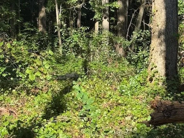 0 Rita Ridge LOT 6, Jefferson, GA 30549