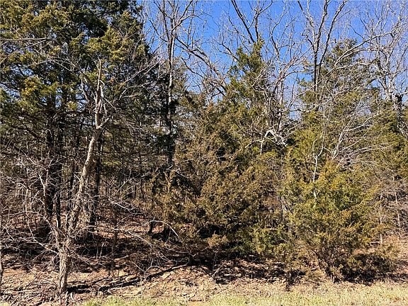 5th image of Dunkard Rd #1