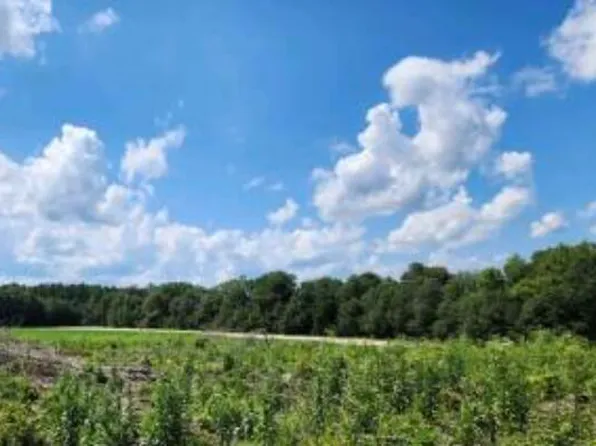 0 HWY 78, Williston, SC 29853