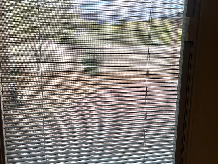 master bdrm french doors to back yard and view of Catalina Mountains