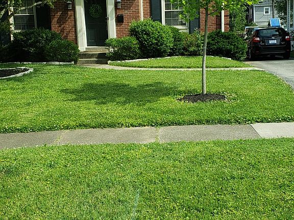 3rd image of 2216 Brighton Dr