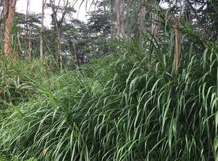 Niuhi St LOT 1444, Pahoa, HI 96778