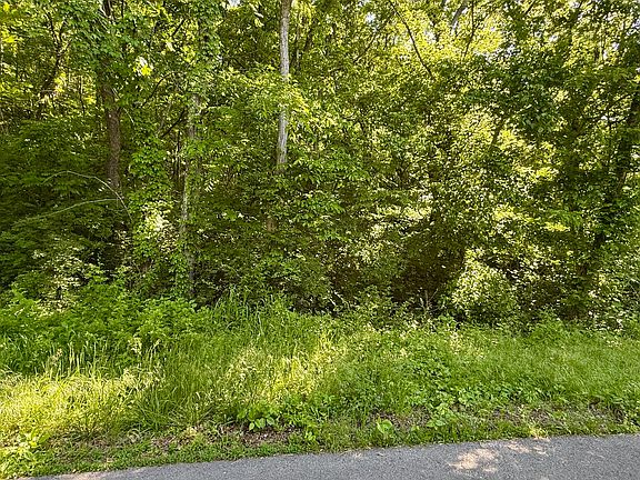 3rd image of 0 S Rushy Springs Rd
