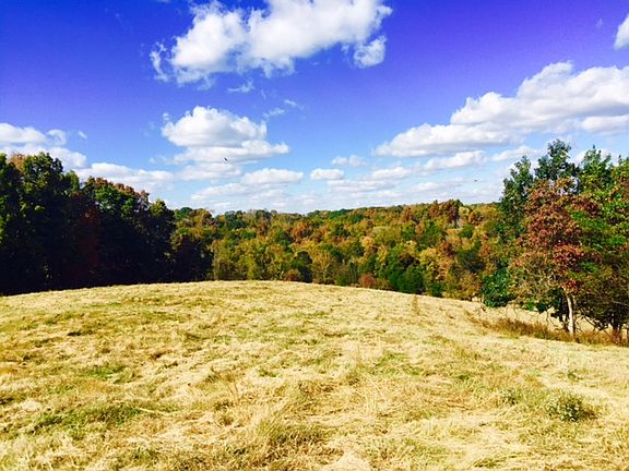 5th image of 98 Bluegrass Dr