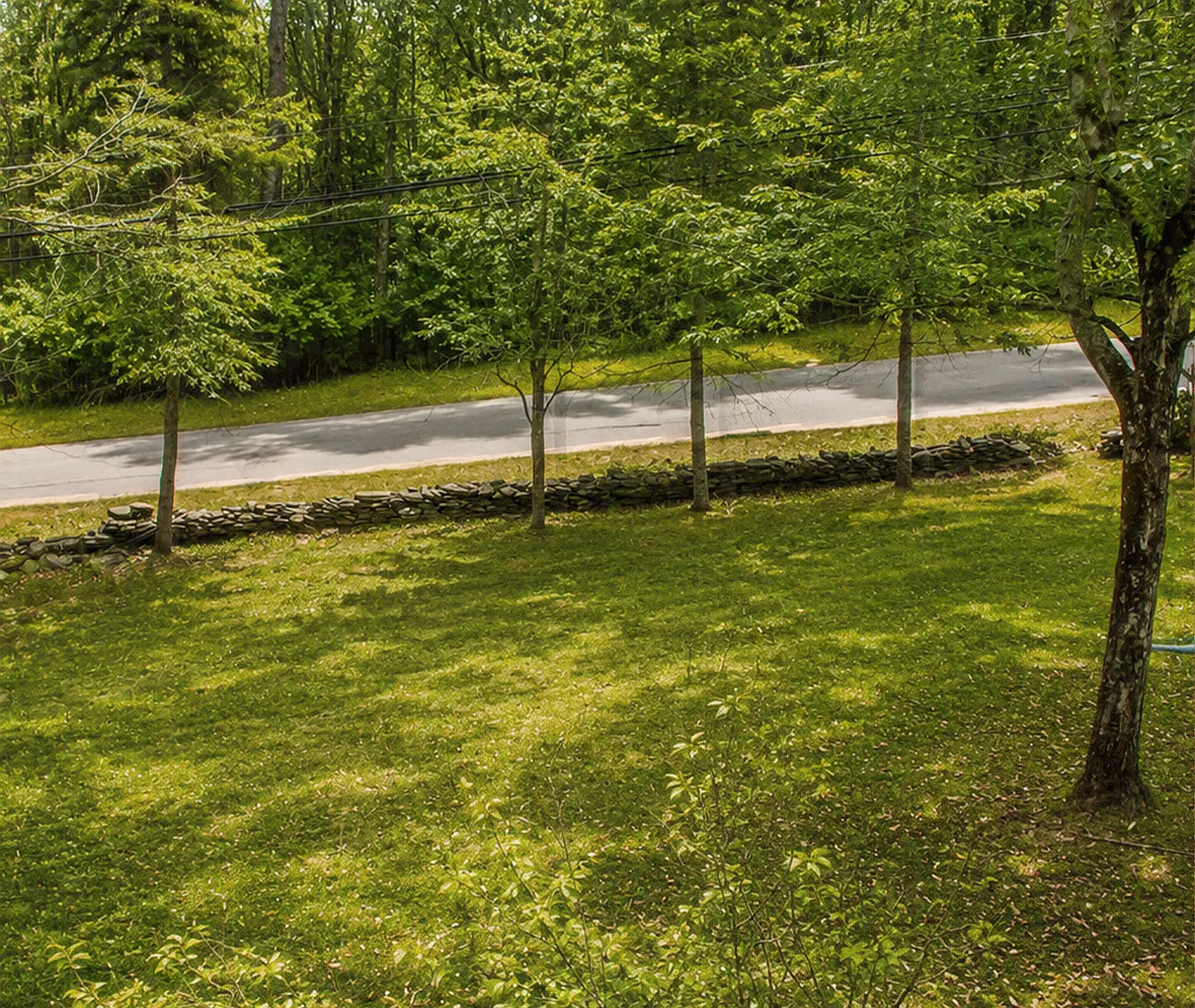 2 bed, 800 sqft, $1,300 — Photo 4