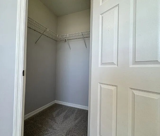 13518 Little Gem Cir — Photo 35