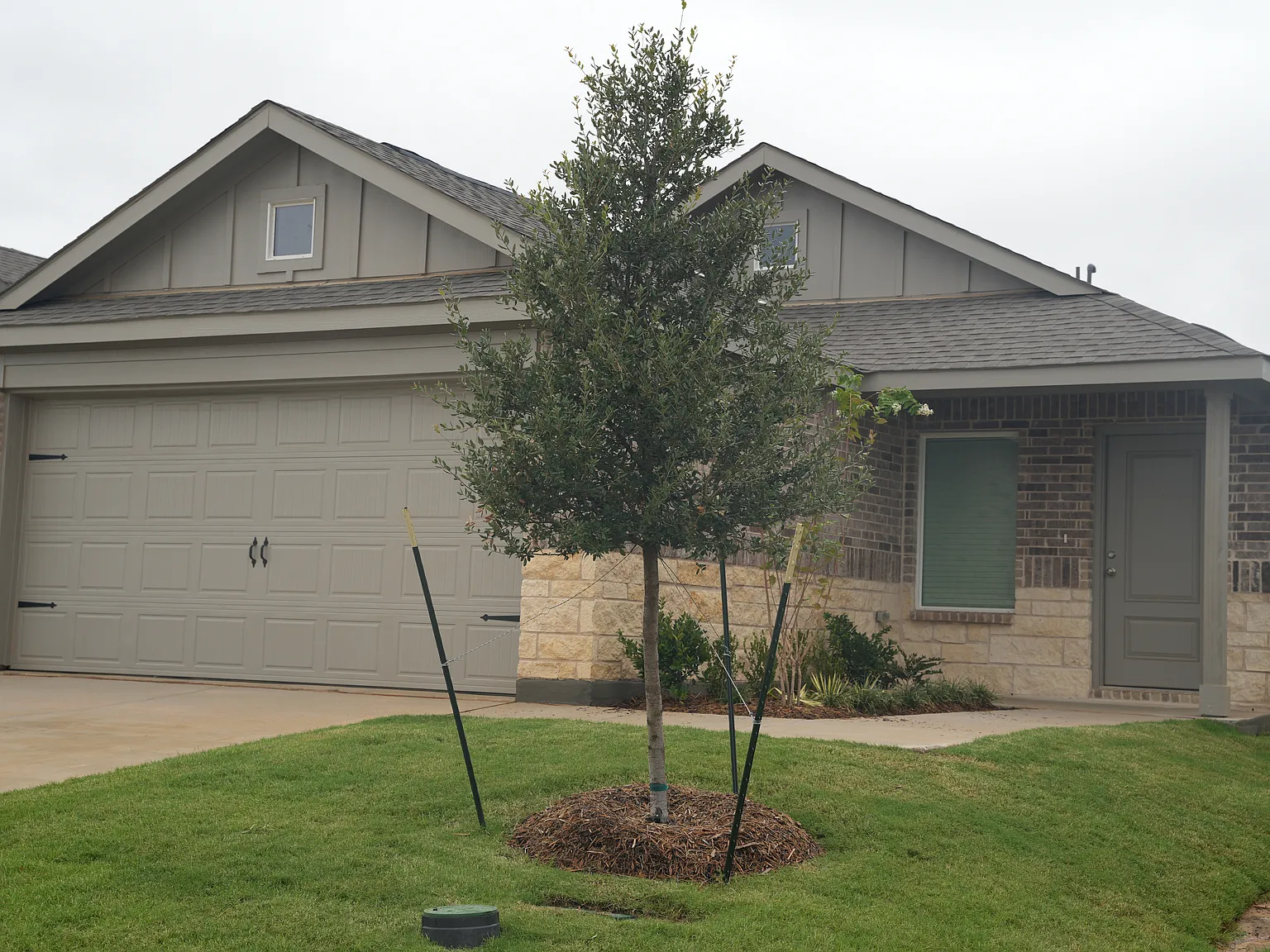 4 bed, 1656 sqft, $2,600 — Photo 2