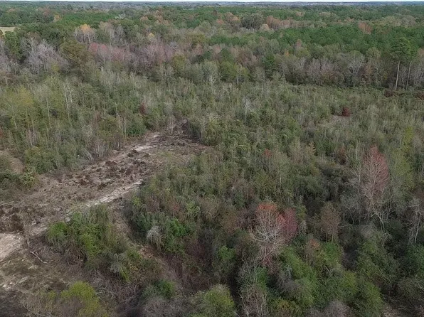 LOT Olon Bankston Rd #D, Kentwood, LA 70444