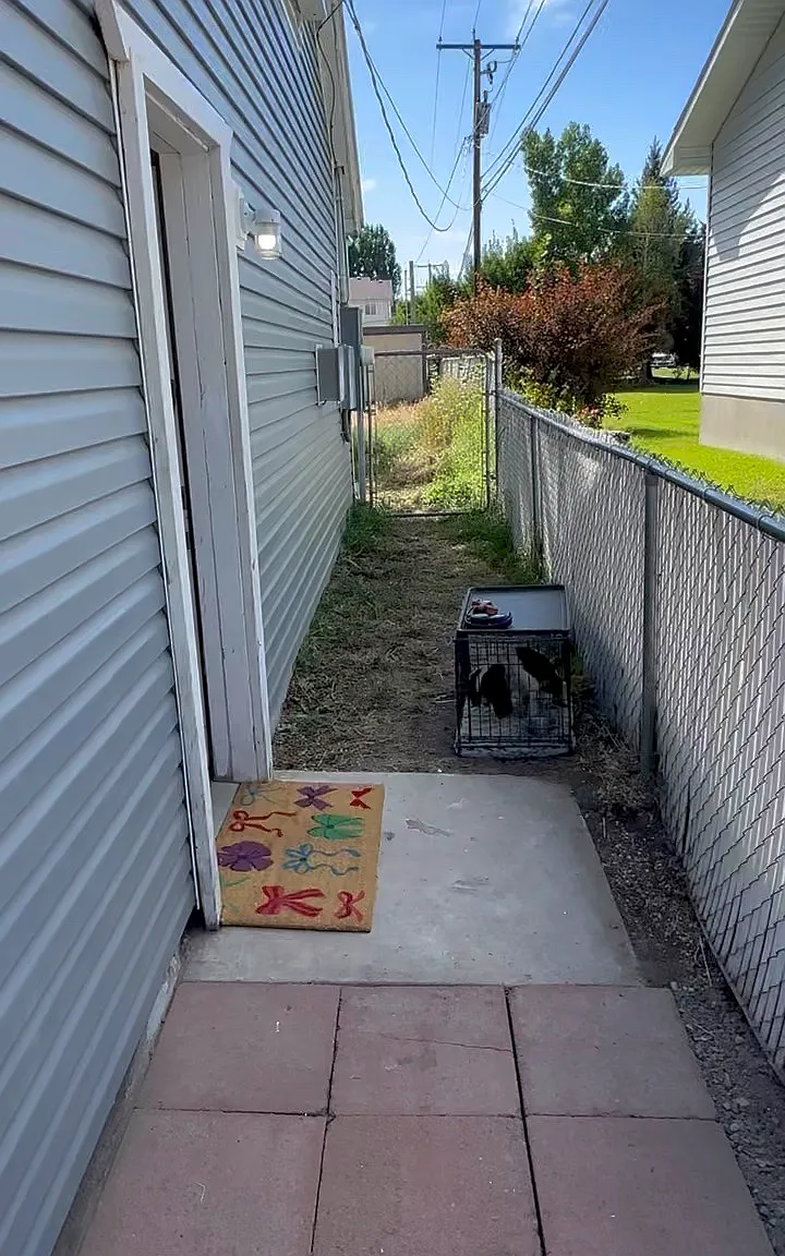 1 bed, 600 sqft, $900 — Photo 2