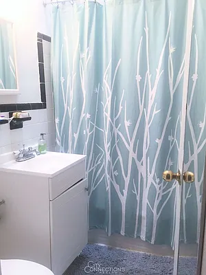 Rented by City Connections Realty | media 15