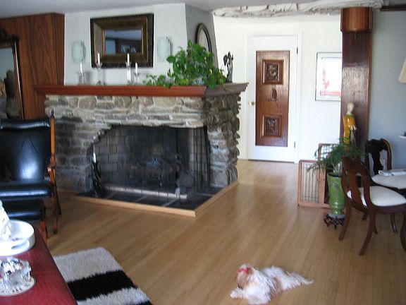 Fireplace