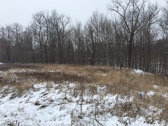 1st image of Braemar Dr