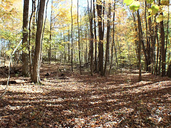 3rd image of Stamping Creek