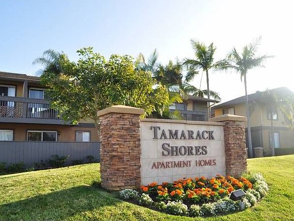 Sun is Always Shining