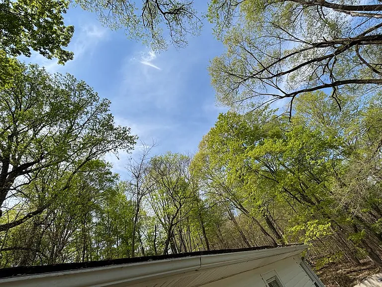 1658 Echo Ct — Photo 13