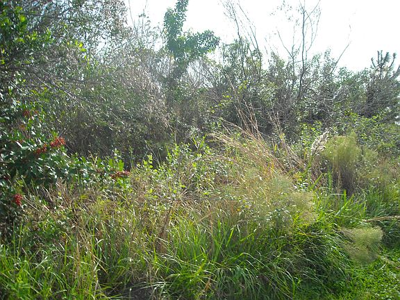 Lot in its natural state