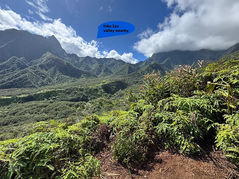 hike the Iao valley - Wailuku - Our closest and favorite town.
Foodland Kehalani Rd 5.5 miles, Maui Plantation 4 miles (fresh veggies)