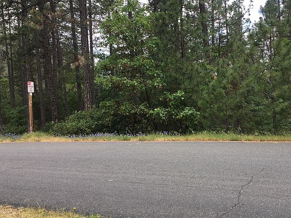 4th image of 1312 Shady Tree Ln