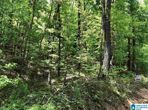 Tiny Kingdom Rd #35, Remlap, AL 35133
