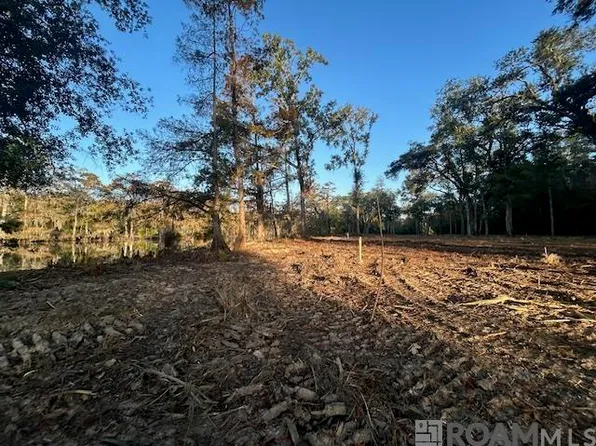 14245 Old River Rd, Maurepas, LA 70449