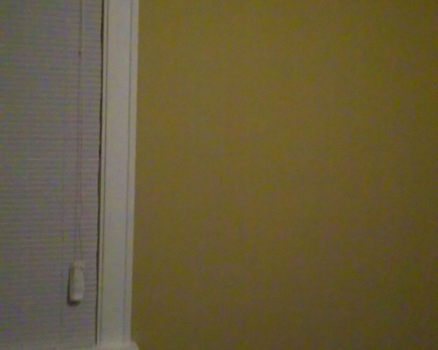 88 E Depew Ave 2, Buffalo, NY 14214 Zillow