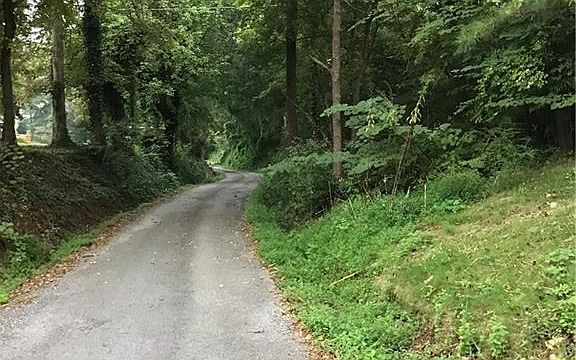 2nd image of 0 Double Branches Rd