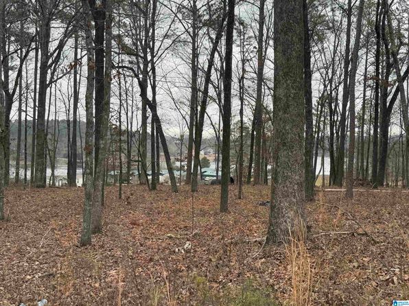 1 Centaurus Cir #2, Alpine, AL 35014