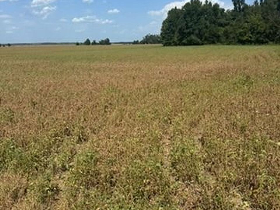 1st image of Blue Cane Rd
