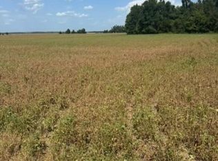 Blue Cane Rd, Charleston, MS 38921