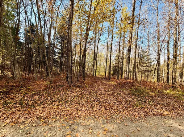 County Road 303, Deer River, MN 56636
